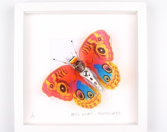 Orange Butterfly Framed Wall Art | Recycled Sculpture