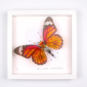 Puede incluir: Una obra de arte enmarcada que presenta una mariposa hecha de placas de circuito y otros componentes electrónicos. La mariposa es naranja, roja y amarilla con detalles negros. El marco es blanco y la obra está firmada "Danis Wright - Electrickery".