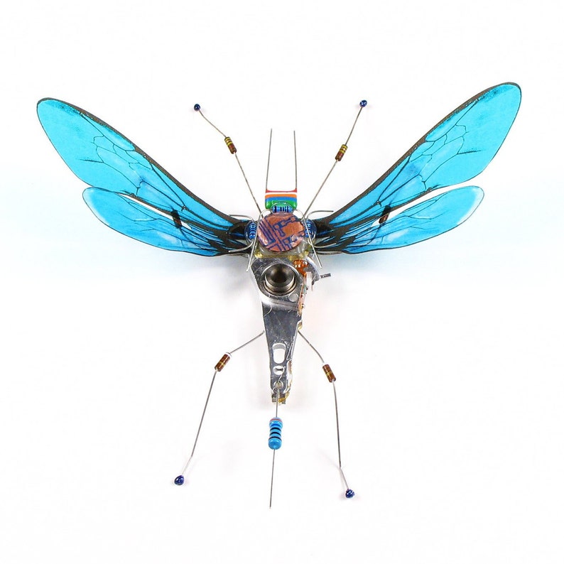 Faux Taxidermy Blue Electrickery Bug Framed Insect Art Etsy