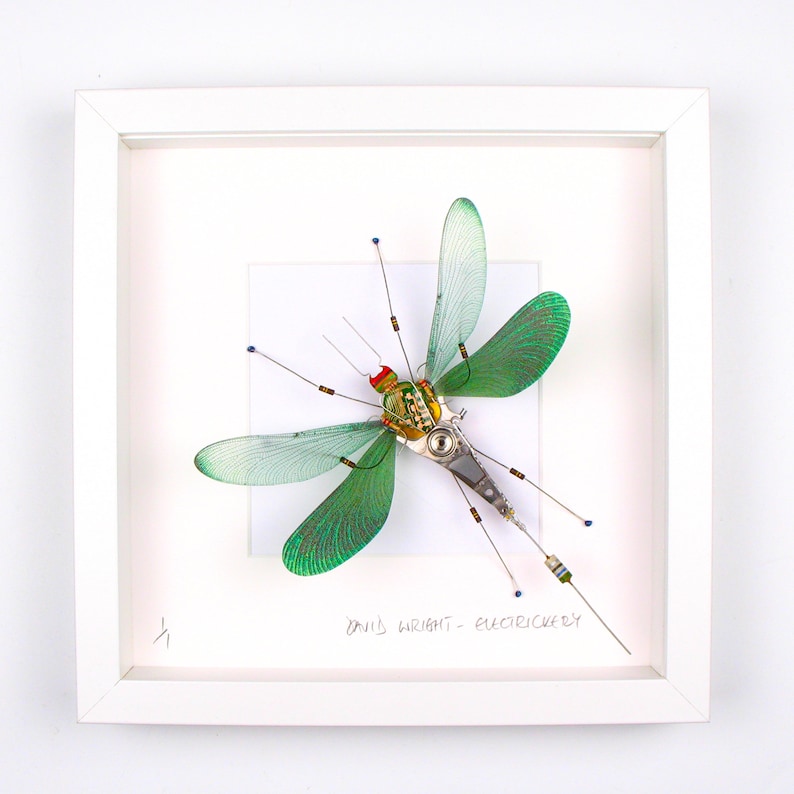 Damselfly Framed Wall Art, Recycled Sculpture, Choice of Colours, Made By Electrickery image 1