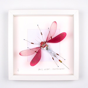 May include: A framed artwork featuring a pink dragonfly made from recycled materials. The dragonfly is mounted on a white background and the frame is white. The artist's signature, "Danis Wright - Electricery", is visible in the bottom right corner.
