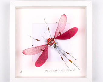 Red Damselfly Framed Wall Art | Recycled Sculpture