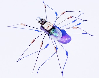 White Spider Framed Wall Art | Recycled Sculpture