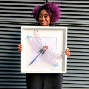 Giant Dragonfly Recycled Art Wings Framed Art Blue Dragonfly Insect Art Steampunk Dragonfly Mother's Day Gift For Her By Electrickery image 1