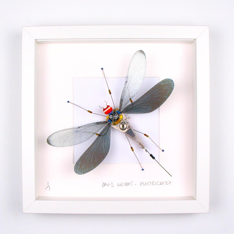 Damselfly Framed Wall Art, Recycled Sculpture, Choice of Colours, Made By Electrickery image 4