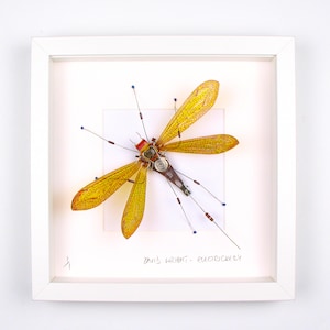 May include: A framed artwork featuring a yellow and orange insect made from electronic components. The insect is mounted on a white background and the frame is white. The artist's signature, "Danis Wright - Electrickery", is visible in the bottom right corner.