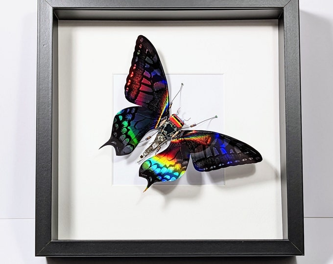 Featured listing image: Framed Butterfly, Mother's Day's Gift, Choice of Colours, Handmade By Electrickery