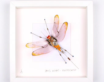 Gold Tip Wing Dragonfly Framed Wall Art | Recycled Sculpture