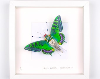 Green Butterfly Mother's Day's Gift For Wife Baby Shower Gift Insect Collector Gift For Mother Butterfly Picture Home Decor By Electrickery