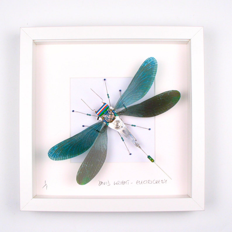 Damselfly Framed Wall Art, Recycled Sculpture, Choice of Colours, Made By Electrickery image 5