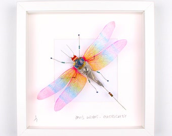 Rainbow Wing Dragonfly Framed Wall Art | Recycled Sculpture