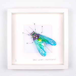 May include: A framed artwork featuring a colourful, abstract insect made from recycled electronic components. The insect has blue, green, and purple wings and a body made from a circuit board. The artwork is signed "Davis Wright - Electrickery".