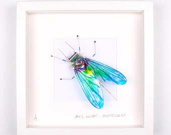 Blue Fly Framed Wall Art | Recycled Sculpture