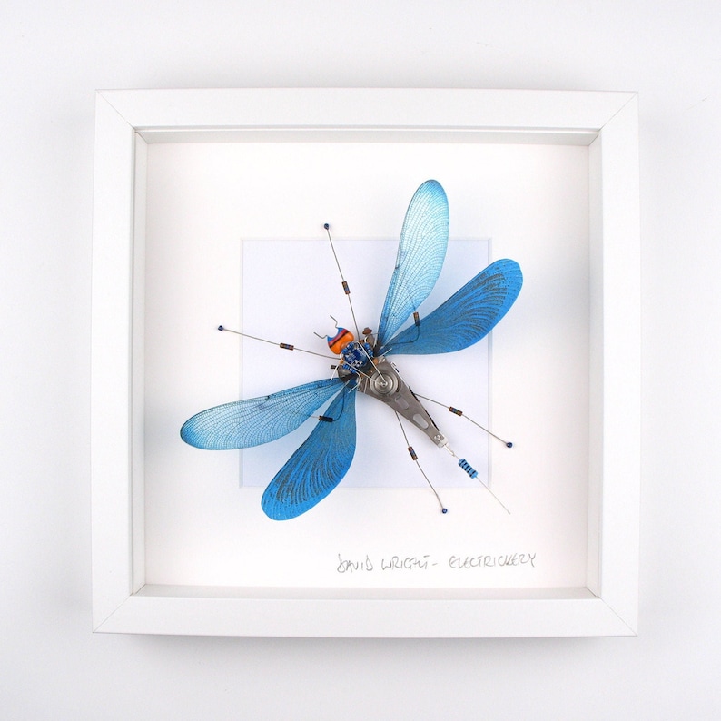 Damselfly Framed Wall Art, Recycled Sculpture, Choice of Colours, Made By Electrickery image 2