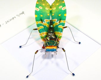 Green Cicada Framed Wall Art | Recycled Sculpture