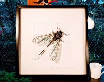 Blue Fly Framed Wall Art | Recycled Sculpture