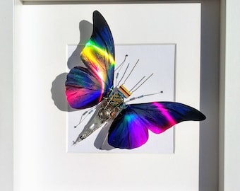 Holographic Winged Insects, Amazing Moving Rainbow Colours, Pearlescent, Mother of Pearl, Framed Insect, Handmade By Electrickery
