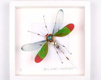 Green & Red Damselfly Framed Wall Art | Recycled Sculpture