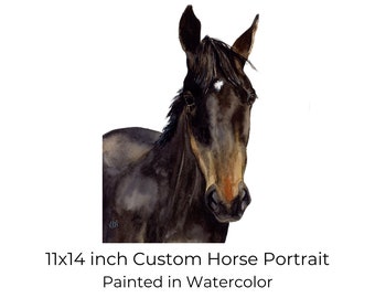 Custom Horse Portrait, Hand Painted, Watercolor Equestrian Art, Horse Owner, Gift for Horse Lover, Birthday Gift for Her