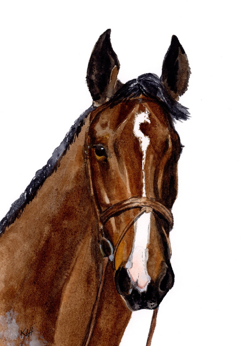 Custom Horse Portrait, Personalized Horse Painting, Birthday Gift for Horse Owner, Equine Keepsake, Equestrian gifts for women, Horse Art image 7