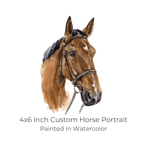 Custom Horse Portrait, Personalized Horse Painting, Birthday Gift for Horse Owner, Equine Keepsake, Equestrian gifts for women, Horse Art image 1