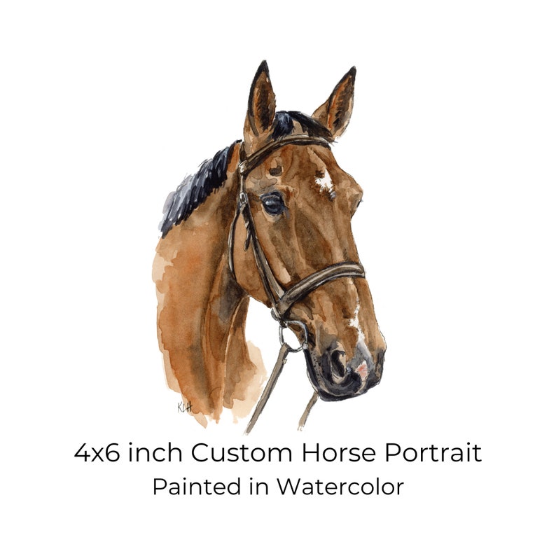 Custom Horse Portrait, Personalized Horse Painting, Birthday Gift for Horse Owner, Equine Keepsake, Equestrian gifts for women, Horse Art image 1