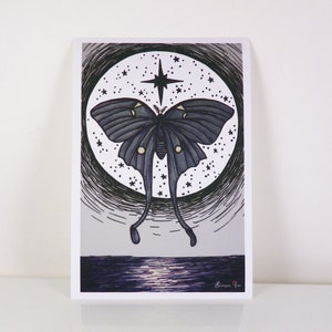 Luna Moth, Luna Moth Print, Celestial, 4x6 Giclee Print