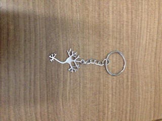 Neuron Keychain, Gift for Neurologist, Medical Gift, Anatomy Keyring ...