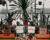 HANGING BASKET 100 coton assorted pompons planters pink, rosewood, natural, terracotta la petite boite handmade in Quebec