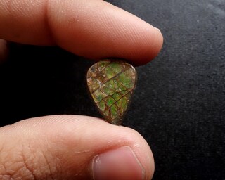 Espositore Orecchini HOBBIESAY 1 Pz 2Slot Espositori Per Anelli In Legno Stand 19.2cm Porta Organizer Per Anelli Bianchi Con PU Similpelle Rettangolare Anello Per Gioielli Orecchini Organizer Display Vassoio Supporto