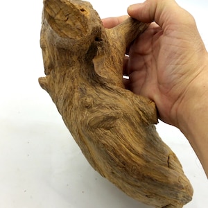 High Quality Old Wild Forest Agarwood Tiger Brunei 369,99 grams .优质老野生森林沉香文莱369,99克 image 1