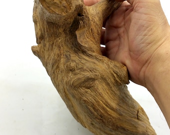 High Quality Old Wild Forest Agarwood Tiger Brunei 369,99 grams .优质老野生森林沉香文莱369,99克