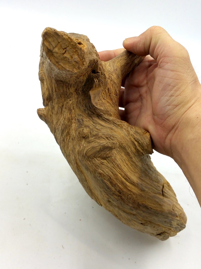 High Quality Old Wild Forest Agarwood Tiger Brunei 369,99 grams .优质老野生森林沉香文莱369,99克 image 1