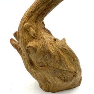 High Quality Old Wild Forest Agarwood Tiger Brunei 369,99 grams .优质老野生森林沉香文莱369,99克 image 5