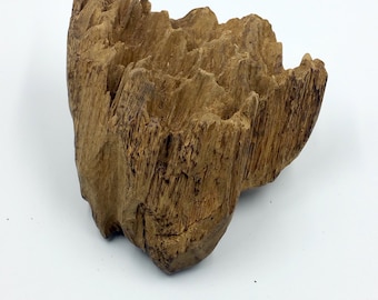 Indonesia Ambon WIld Agarwood 230,51grams 印度尼西亚安汶野生沉香木