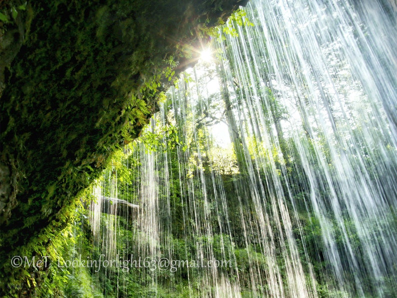 Sunlight Waterfalls Art Green Rain Forest Print Rainforest Wall Decor Waterfalls Photo Silver Falls State Park Oregon Nature Print 画像 6