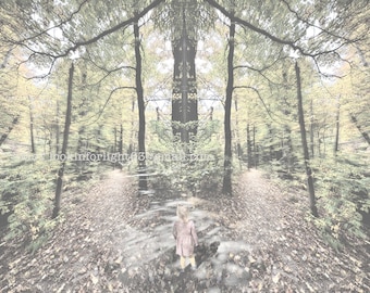 Path into the Woods | Contemplative Art | Surreal Photo Art | Zen Art | Abstract Photo | Photo Collage | Forest Dream Art | Original Photo