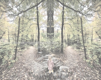 Path into the Woods | Contemplative Art | Surreal Photo Art | Zen Art | Abstract Photo | Photo Collage | Forest Dream Art | Original Photo