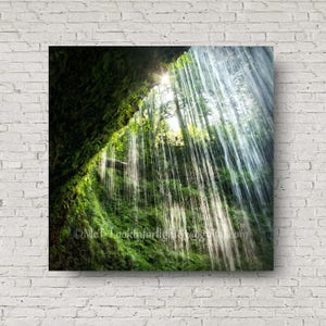 Sunlight Waterfalls Art Green Rain Forest Print Rainforest Wall Decor Waterfalls Photo Silver Falls State Park Oregon Nature Print 画像 5