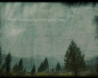 June Lake Landscape | Abstract Nature Art | Mint Rustic Wall Decor | Woodland Print | California Photo | Moody Nature Photo | Wilderness Art