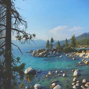 May include: A scenic view of a lake with large, smooth rocks scattered throughout the water. The water is a vibrant turquoise blue, and the sky is a clear, bright blue. A pine tree is in the foreground, and a mountain range is visible in the distance.