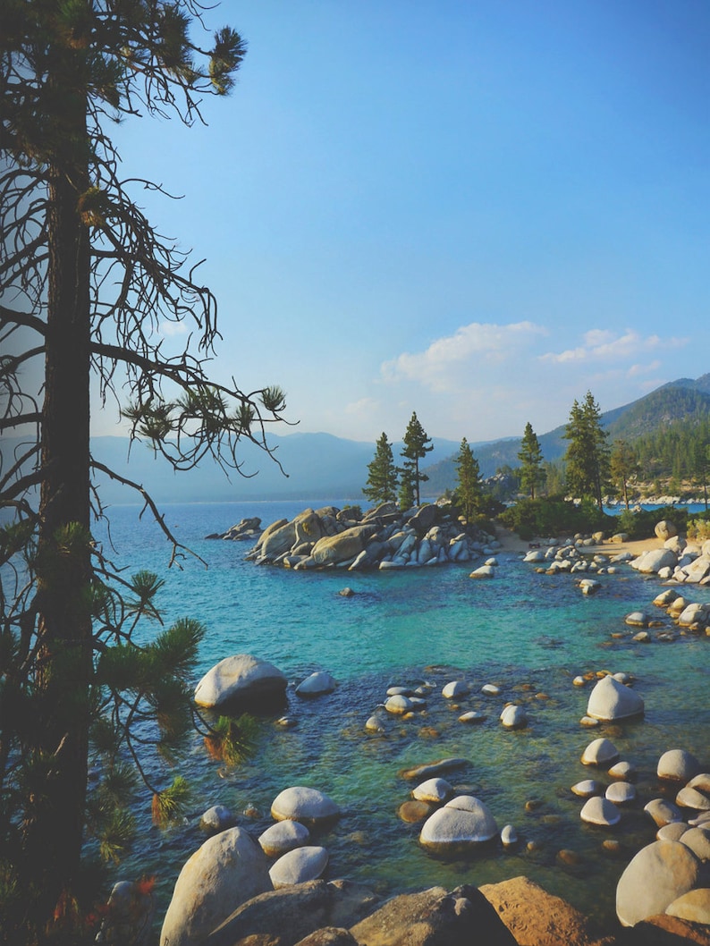 May include: A scenic view of a lake with large, smooth rocks scattered throughout the water. The water is a vibrant turquoise blue, and the sky is a clear, bright blue. A pine tree is in the foreground, and a mountain range is visible in the distance.