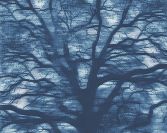 Abstract Tree Art | Surreal Tree Photo | Sublime Tree | Blue Tree art | Tree Art Print | Live Oak Photo | Abstract Blue Tree | Woodland Art