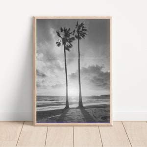 Palm Trees Ocean Sunset California Photo Beach Art Orange County Coastal Sky Pacific Coast Dana Point Art SoCal Photography image 4