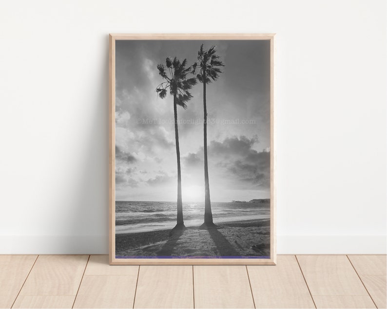 Palm Trees Ocean Sunset California Photo Beach Art Orange County Coastal Sky Pacific Coast Dana Point Art SoCal Photography image 4