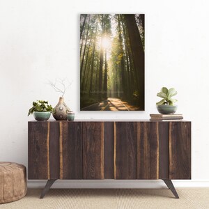 Redwood Tree Photo / Redwood Forest Art / Tree Sunshine Print / California Redwood Tree / Nature Large Wall Decor / Avenue of the Giants image 5