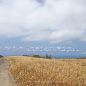 May include: A scenic photograph of a path leading through a field of golden grass under a blue sky with fluffy white clouds. The text "Out beyond ideas of wrongdoing and rightdoing there is a field. I'll meet you there. Rumi" is printed on the image.