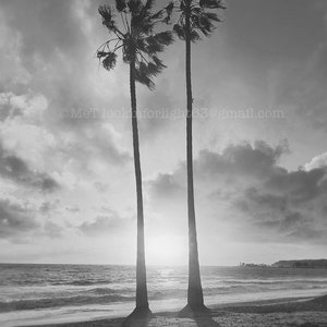 Palm Trees Ocean Sunset California Photo Beach Art Orange County Coastal Sky Pacific Coast Dana Point Art SoCal Photography image 3