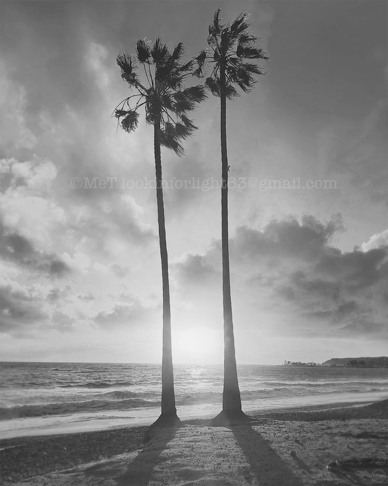 Palm Trees Ocean Sunset California Photo Beach Art Orange County Coastal Sky Pacific Coast Dana Point Art SoCal Photography image 3