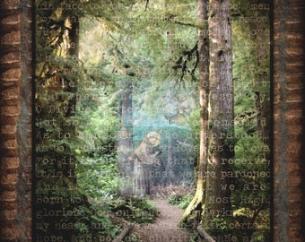 Saint Francis of Assisi | Spiritual Icon Art | Contemplative Zen | Giotto Path | Prayer Meditation | Franciscan Print | Path to Blue Spruce